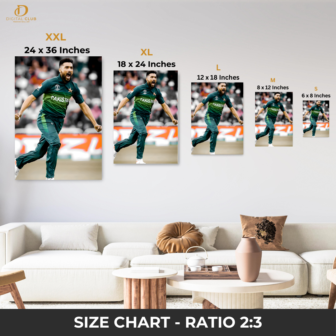 Muhammad Amir - Cricket - Premium Wall Art