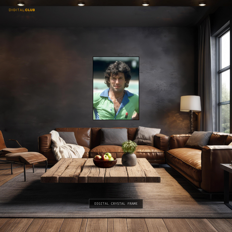 Imran Khan Cricket 2 Pakistan Premium Wall Art